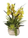 Composizione di orchidee cymbidium