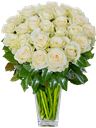 Mazzo di rose bianche