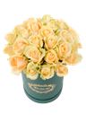 Bouquet di rose bianche
