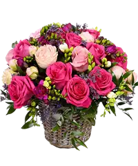 Composizione sui toni del rosa-fucsia