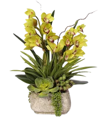 Composizione di orchidee cymbidium