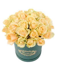 Bouquet di rose bianche