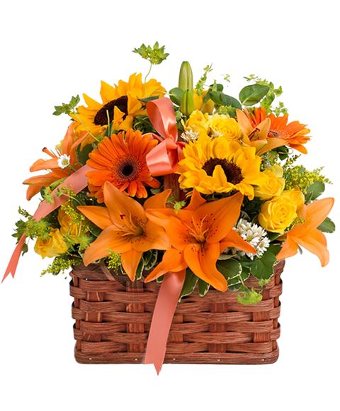 Consegna Fiori Firenze Composizione Floreale Girasoli E Lilium Arancio Per Augurare Buon Compleanno